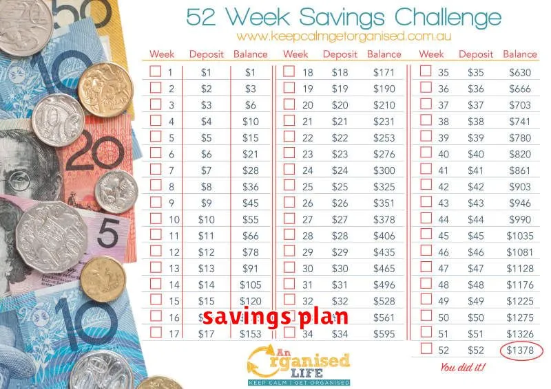 savings plan