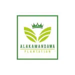 Alakamandawa plantation