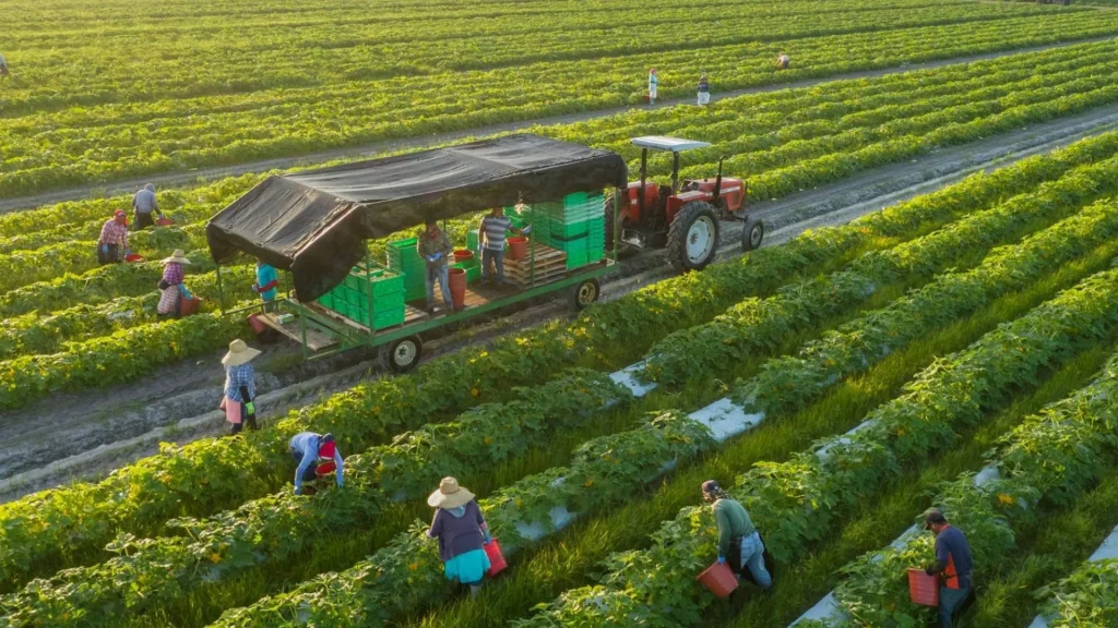 Promising Agricultural Careers