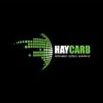 HAYCARB PLC