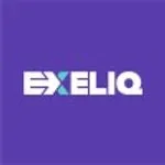 Exeliq Consultancy