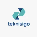 TEKNISIGO company logo