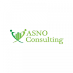 ASNO Consulting company logo