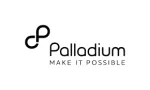 Palladium Group, Inc. company logo