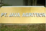 PT Java Agritech company logo