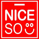 PT NICESO Sukses Indonesia company logo