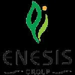 Enesis Group company logo