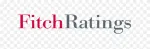 Fitch Ratings company logo