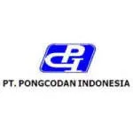 PT PONG CODAN INDONESIA company logo