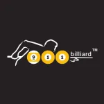 911 Billiard company logo