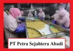 PT Petra Sejahtera Abadi company logo